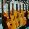 A row of beautifully crafted acoustic guitars on display in a music store, highlighting variety and craftsmanship.